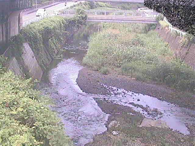 不動川 泉橋付近のカメラ画像