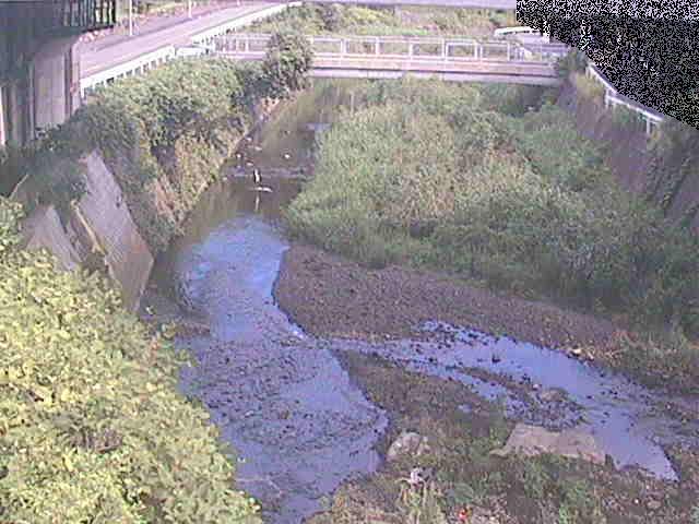 不動川 泉橋付近のカメラ画像