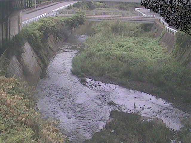 泉橋付近のカメラ画像
