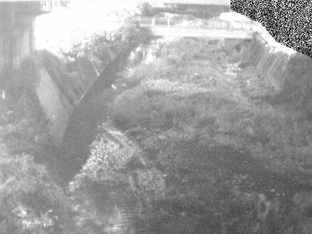 泉橋付近のカメラ画像