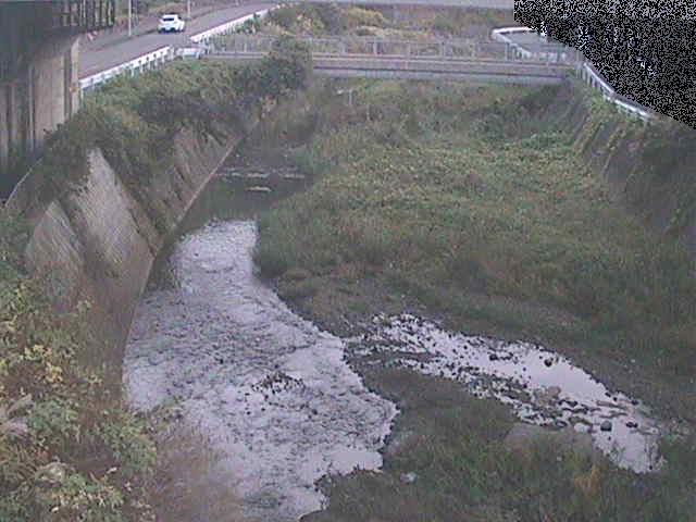 泉橋付近のカメラ画像