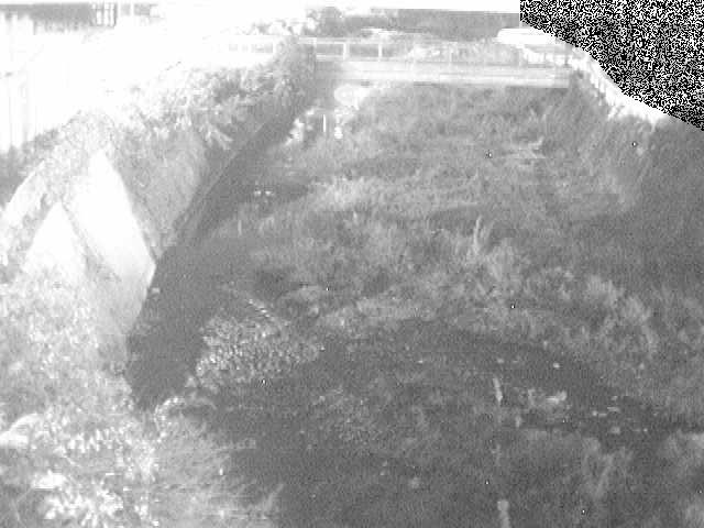 泉橋付近のカメラ画像