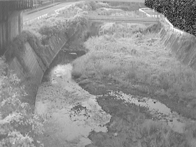 泉橋付近のカメラ画像