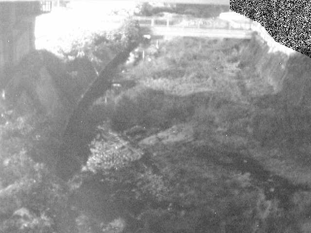 不動川 泉橋付近のカメラ画像