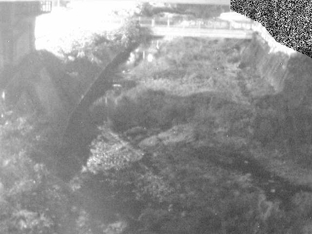 不動川 泉橋付近のカメラ画像