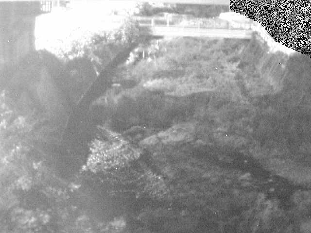 泉橋付近のカメラ画像