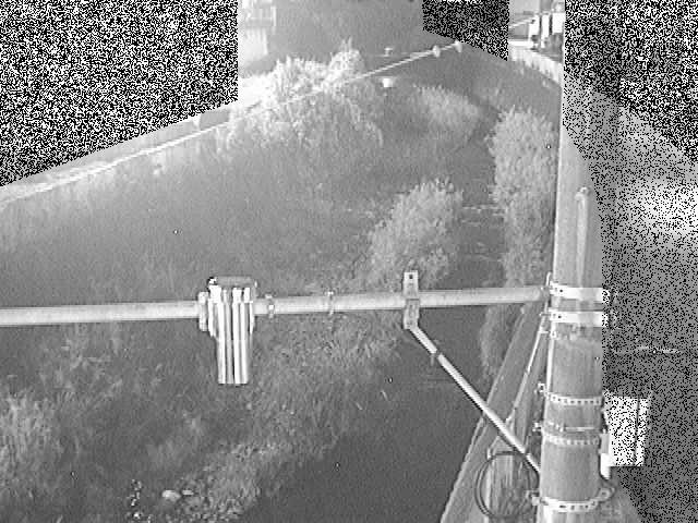 根下橋付近のカメラ画像