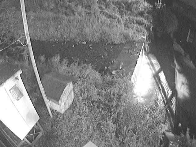 新甘柿橋付近のカメラ画像