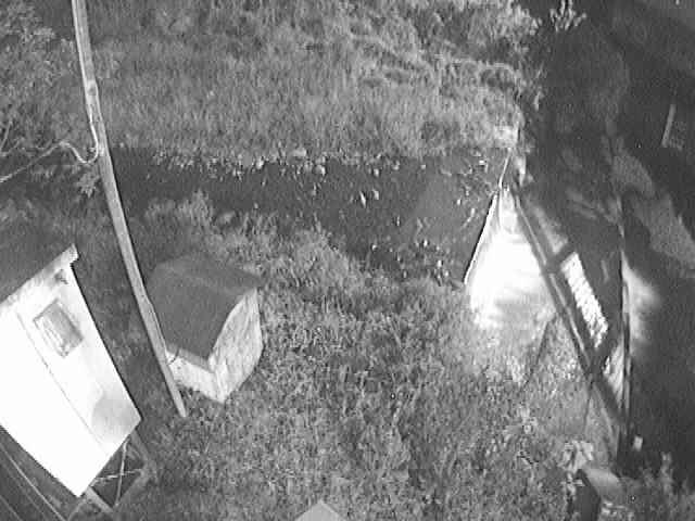 新甘柿橋付近のカメラ画像