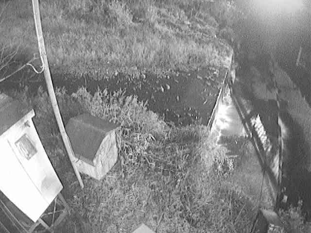 新甘柿橋付近のカメラ画像