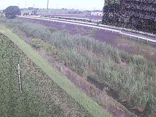 大根川 真田橋付近のカメラ画像