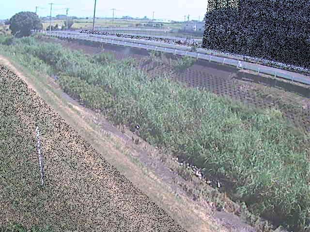大根川 真田橋付近のカメラ画像