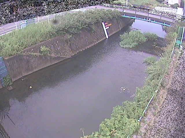 河内川 下河原橋付近のカメラ画像