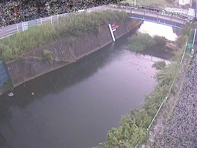 河内川 下河原橋付近のカメラ画像