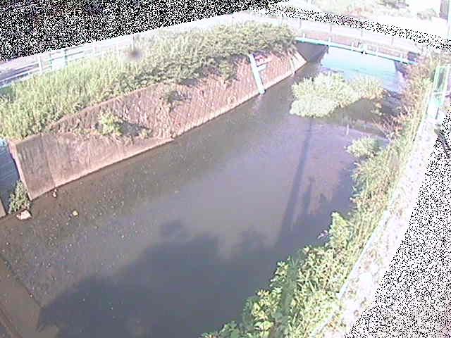 下河原橋付近のカメラ画像