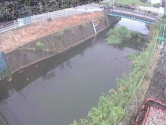 河内川 下河原橋付近のカメラ画像