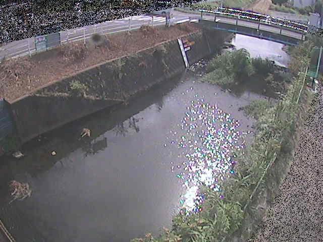 河内川 下河原橋付近のカメラ画像