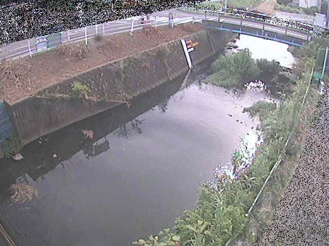 河内川 下河原橋付近のカメラ画像