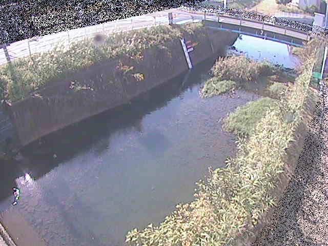 河内川 下河原橋付近のカメラ画像