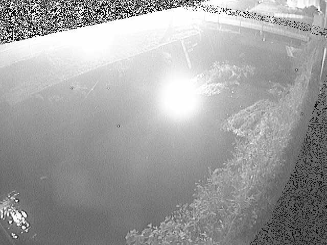 下河原橋付近のカメラ画像