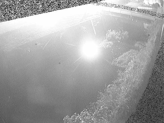 河内川 下河原橋付近のカメラ画像