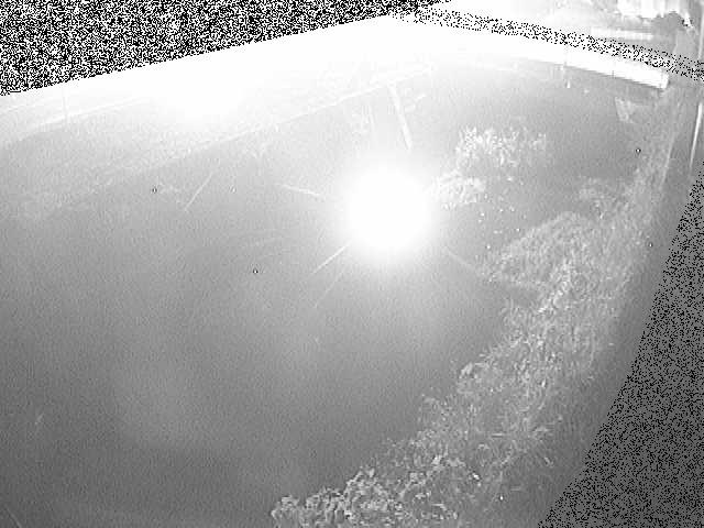 下河原橋付近のカメラ画像