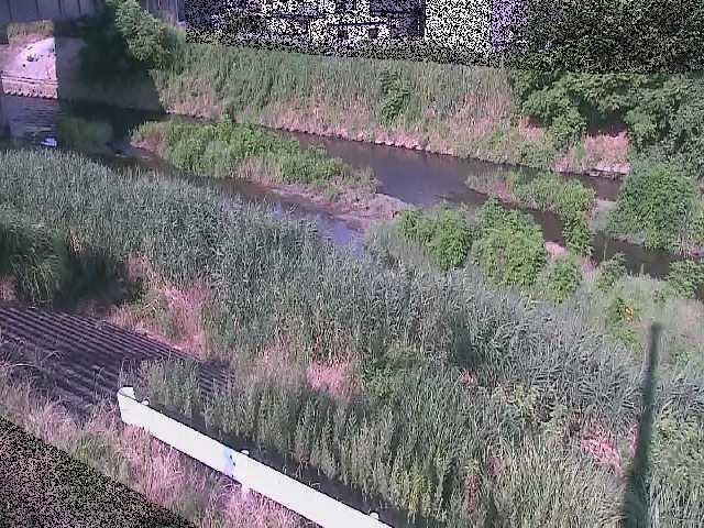 東橋付近のカメラ画像