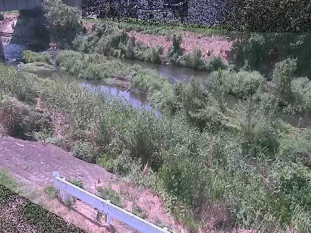 鈴川 東橋付近のカメラ画像