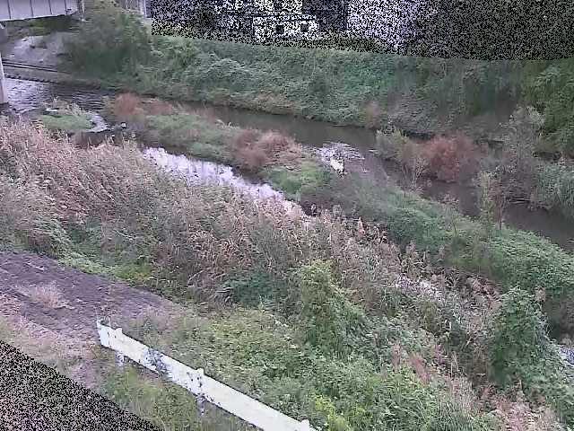 東橋付近のカメラ画像