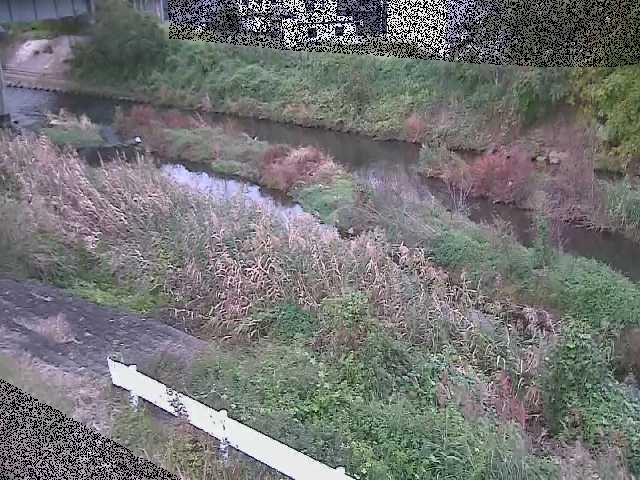 東橋付近のカメラ画像