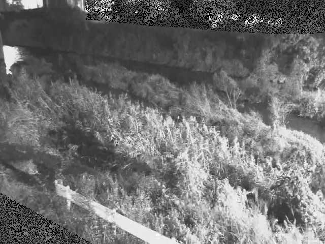 鈴川 東橋付近のカメラ画像