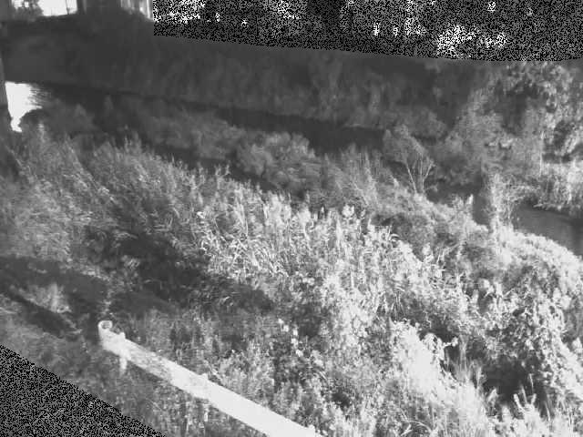 東橋付近のカメラ画像