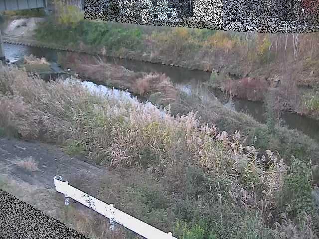 東橋付近のカメラ画像