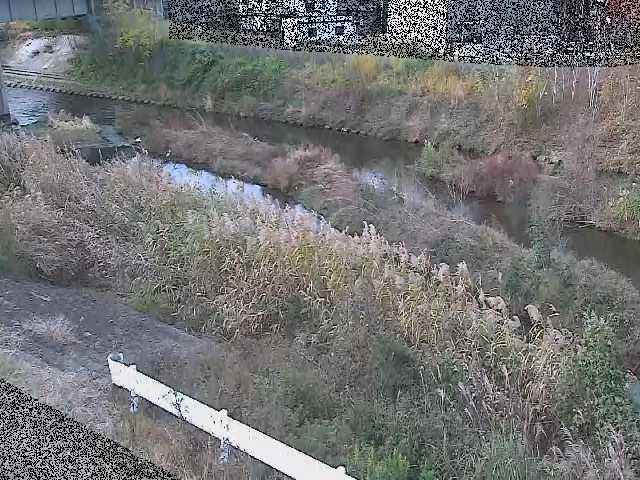 東橋付近のカメラ画像