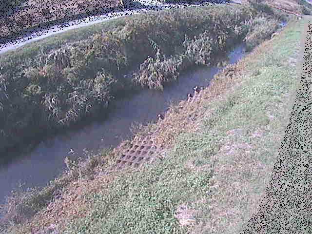 板戸川 岡崎橋付近のカメラ画像