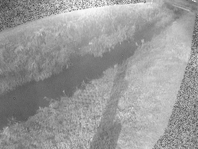 岡崎橋付近のカメラ画像