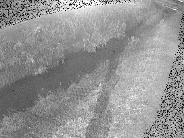 岡崎橋付近のカメラ画像