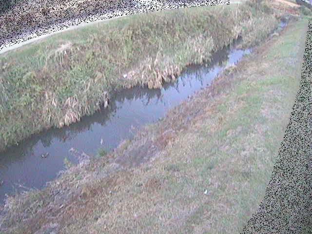 岡崎橋付近のカメラ画像