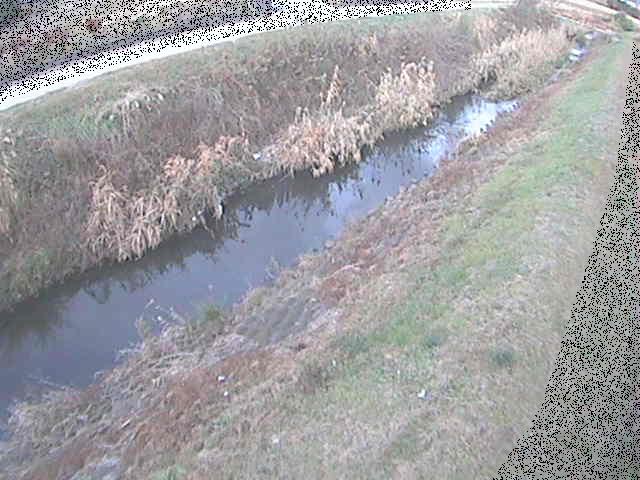 岡崎橋付近のカメラ画像