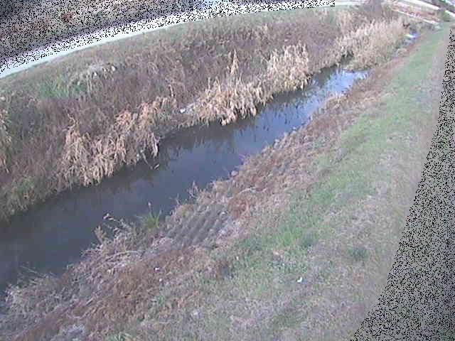 岡崎橋付近のカメラ画像