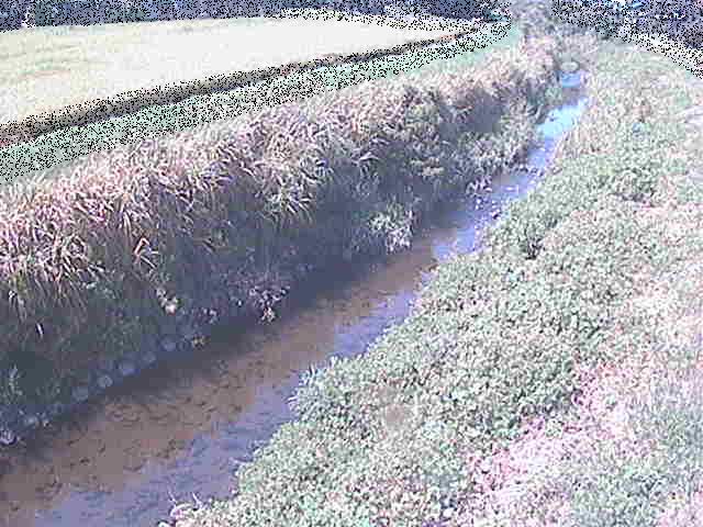 座禅川 土屋窪橋付近のカメラ画像