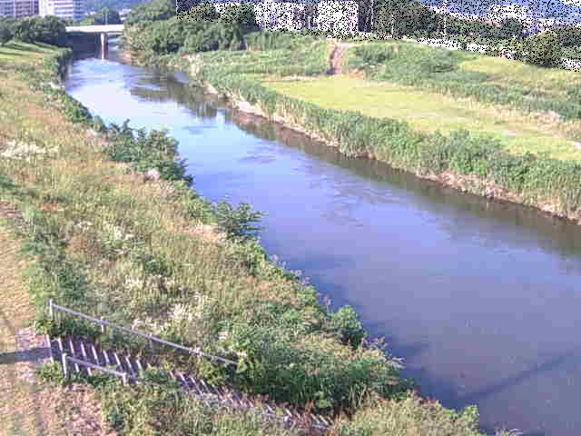 玉川橋付近のカメラ画像