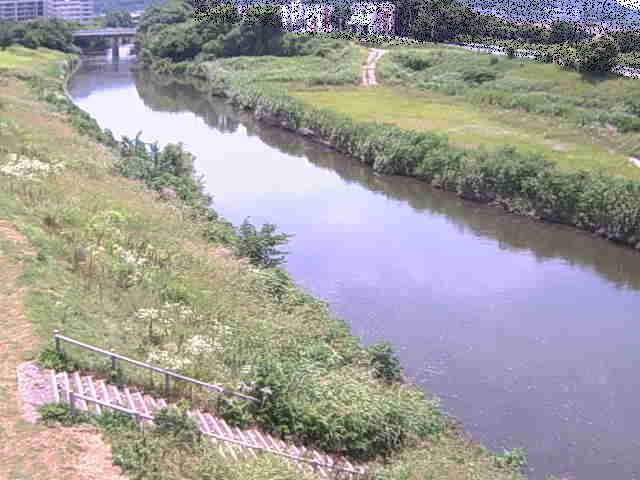 玉川橋付近のカメラ画像