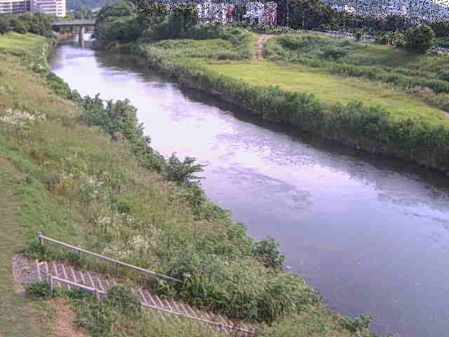 玉川橋付近のカメラ画像