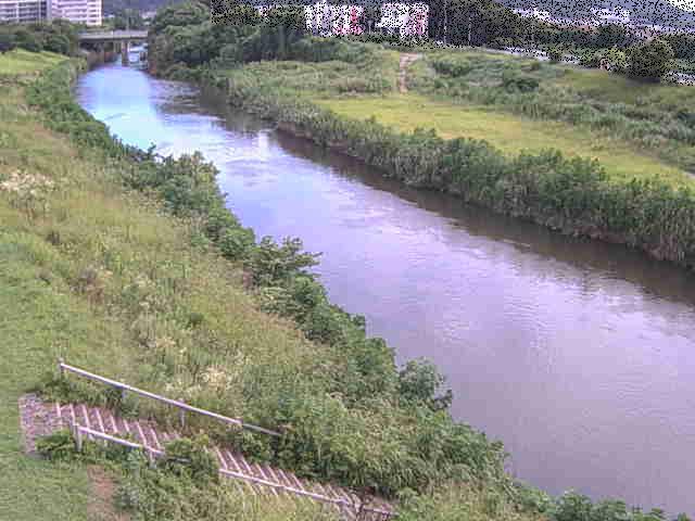 玉川橋付近のカメラ画像