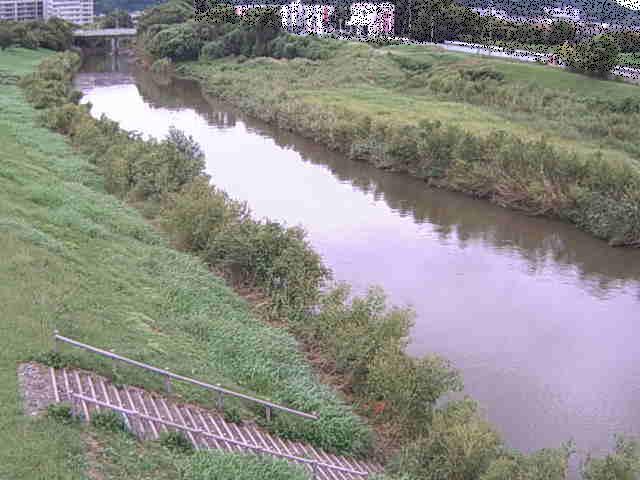 玉川橋付近のカメラ画像