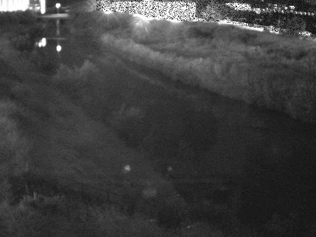 玉川橋付近のカメラ画像