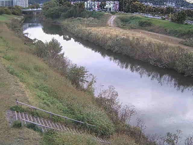 玉川橋付近のカメラ画像