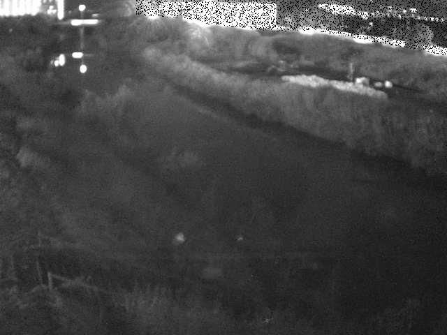 玉川橋付近のカメラ画像