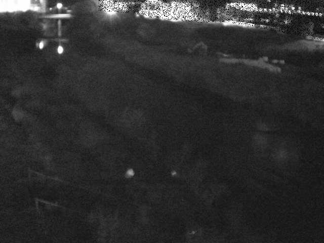 玉川橋付近のカメラ画像